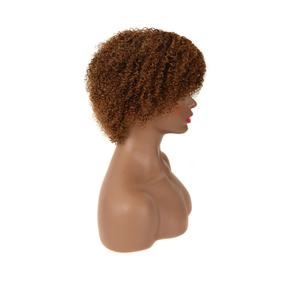 Pixie Cut Afro Wig Remy Virgin Cuticle Aligned Human Hair Curly Bob Short Wig for Women