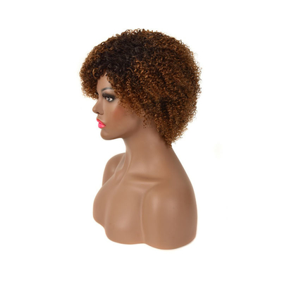 Pixie Cut Afro Wig Remy Virgin Cuticle Aligned Human Hair Curly Bob Short Wig for Women