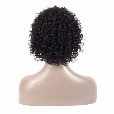 Suitable Dying Colors ALL COLORS Human Hair Short Hair Wigs for Women Ready to Ship