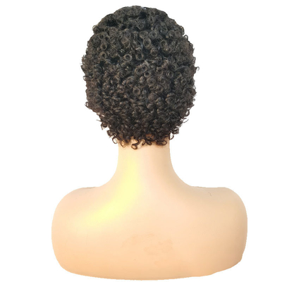 Machine Made Short Curly Human Hair Wig Afro Curly No Lace Closure Virgin Brazilian