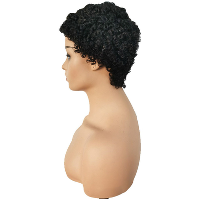 Machine Made Short Curly Human Hair Wig Afro Curly No Lace Closure Virgin Brazilian